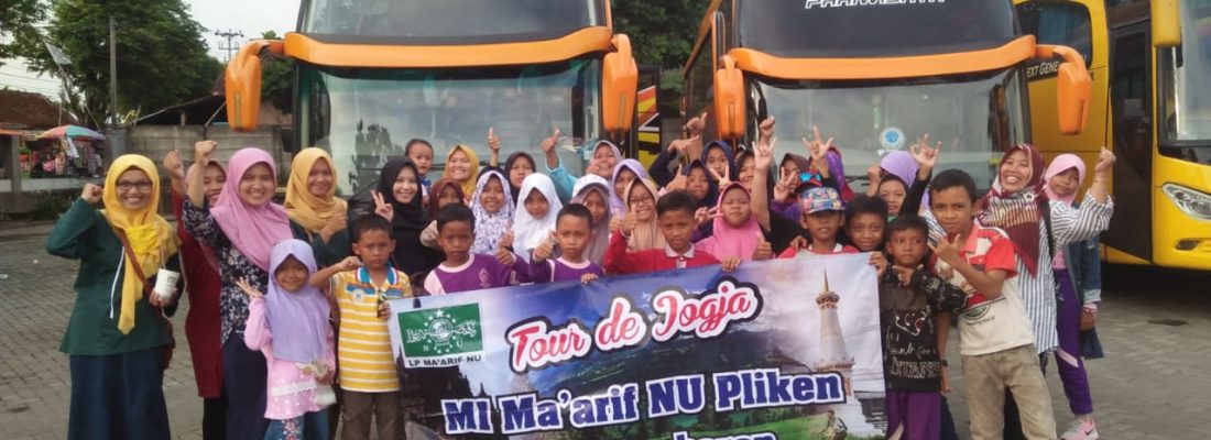 Study Tour